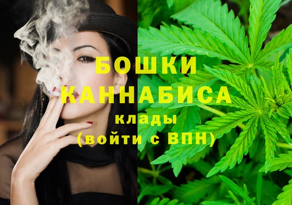 твердый Дмитровск