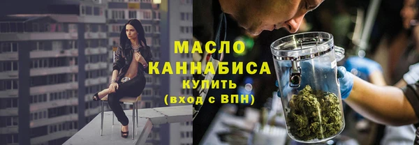 твердый Дмитровск