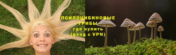герыч Дмитриев
